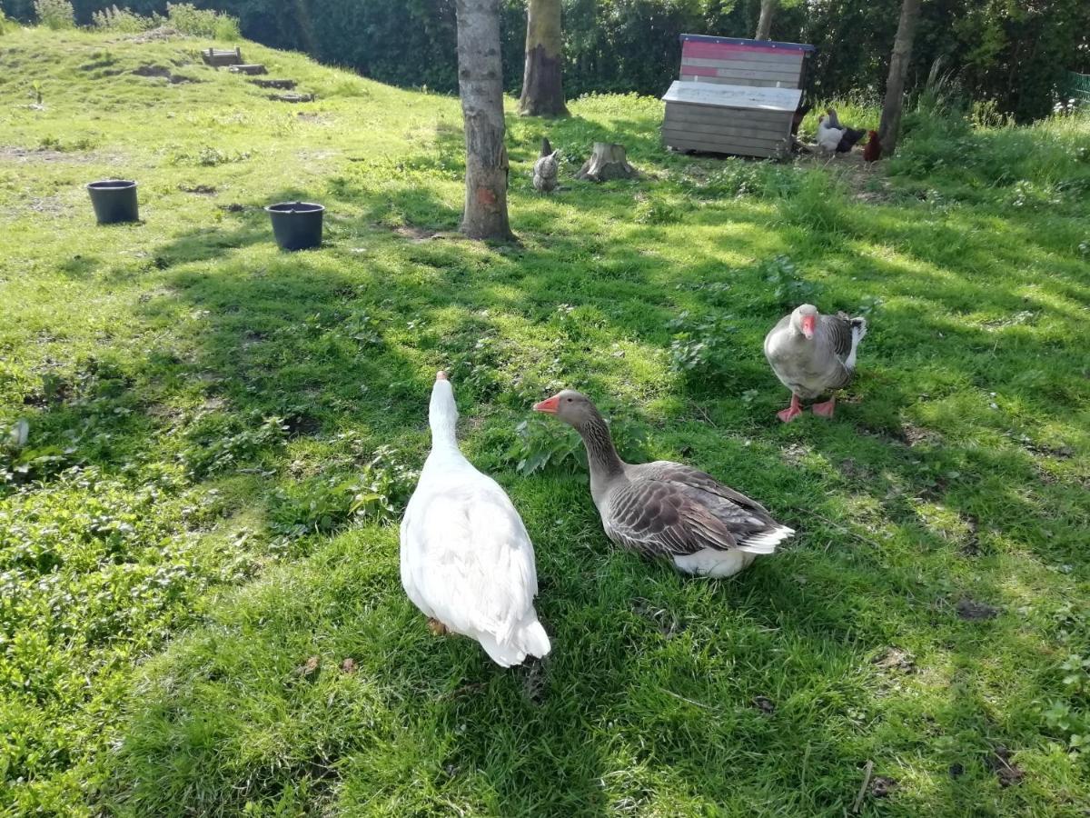 Etage A La Ferme Avec Piscine Interieure Privative, Selon Date Bassee Bagian luar foto